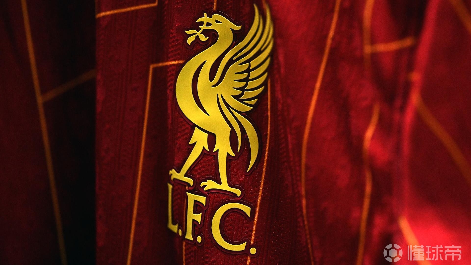 张宁末节8 张宁末节8