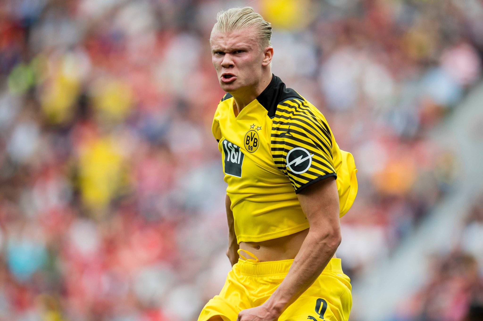 国际大学生 国际大学生